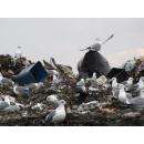 Раздельный сбор мусора позволит в перспективе снизить объемы городской свалки