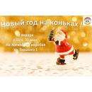 Встретить Новогоднюю ночь на коньках приглашают жителей Бердска