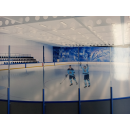 Разработан и утверждён дизайн новой ледовой арены в Новосибирске к МЧМ-2023