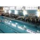 В соревнованиях примут участие от 100 до 140 пловцов