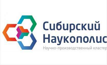 Стратегическая сессия НПК «Сибирский наукополис» состоится в Бердске