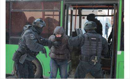 Учение «Метель» по освобождению заложников, захваченных террористами, провели в Бердске