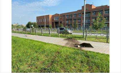 Врезался в дорожное ограждение и подмял ёлку автомобилист у школы №10 в Бердске