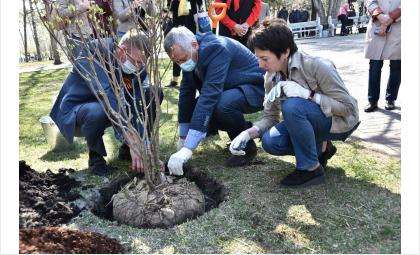 Губернатор Андрей Травников вместе с новосибирцами принял участие в акции «Сад памяти»