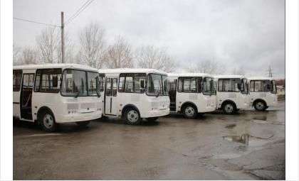 Купят 150 автобусов для Новосибирска в преддверии чемпионатов