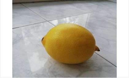 Лимоны из Турции исчезнут с прилавков 