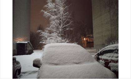 За ночь Бердск засыпало снегом 