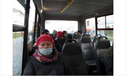 По полчаса бердчане вынуждены ждать общественный транспорт