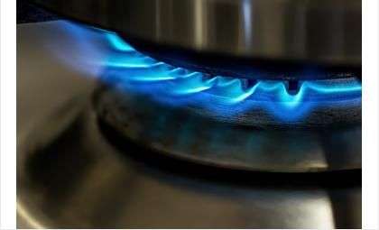 В проведении газа в Бердске нуждаются около 4000 домовладений